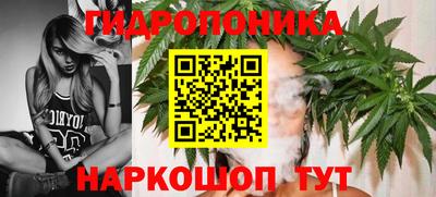 PSILOCYBIN Донской